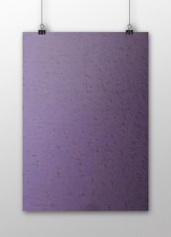 Plike - Purple